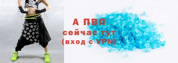 прущие грибы Балабаново