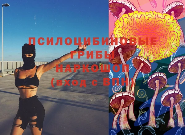 прущие грибы Балабаново