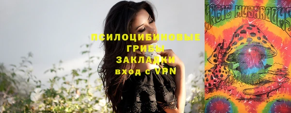прущие грибы Балабаново