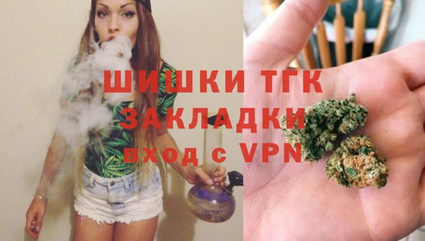 прущие грибы Балабаново